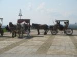 izmirde at arabaları