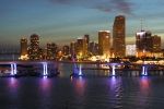 Miami Night
