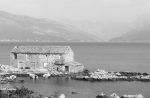 Kulübe