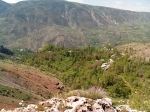 Çamoluk