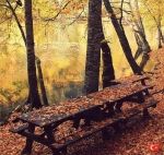 Bolu