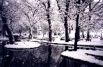 Kuğulupark