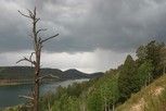 Dixie National Forest