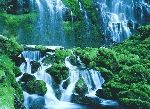 Oregon