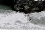 Rafting