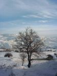Bir Devam Filmi / Siyah-Beyaz