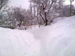 Kış
