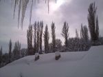 Sessizlik