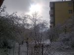 17 Şubat 2009
