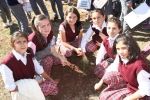 Ağaç Sevgisi
