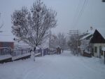 Şebinkarahisar