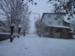 Şebinkarahisar
