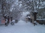 Şebinkarahisar 2013