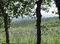 Şebinkarahisar