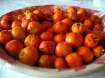Alıç (Aluç)