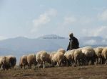 Yayla