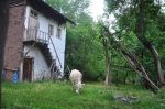 Bağ Evi