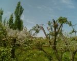 İlkbahar