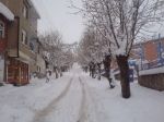 Şebinkarahisar