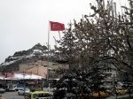 Şebinkarahisar