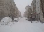 Şebinkarahisar