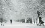 Lonely winter
