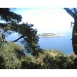 Büyükada