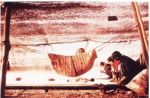 Bebek ve iş