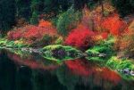 fall-reflections